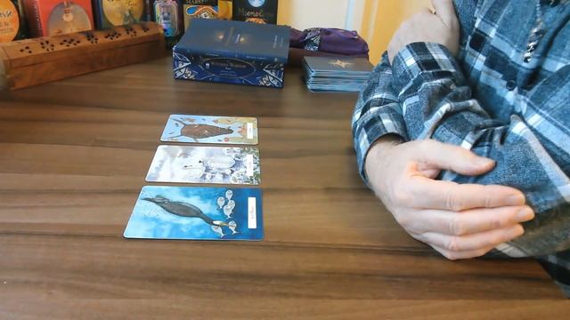 Unboxing Of The Witches Wisdom Tarot Plus Halloween Reading смотреть онлайн
