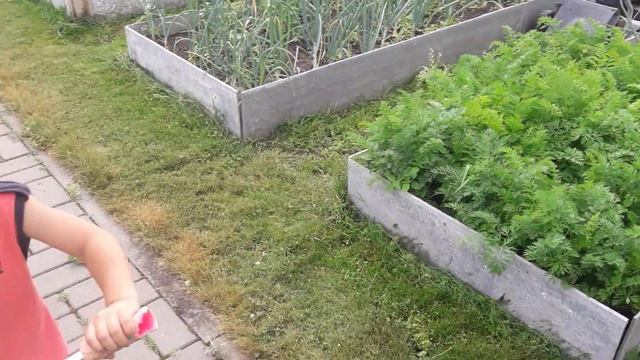 ???ТЕПЛЫЕ ГРЯДКИ ИЗ ШИФЕРА))) смотреть онлайн