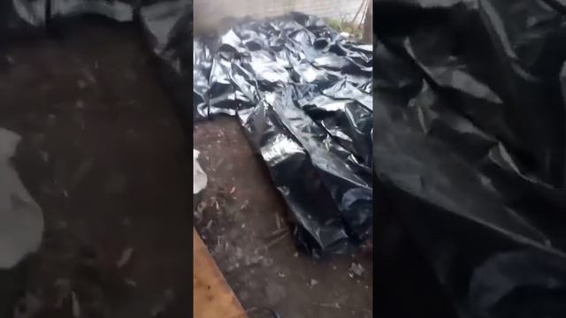 Пан Залужный, вам привет от ваших бойцов...