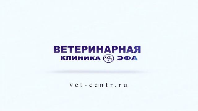 Заставка ветеринарной клиники Эфа