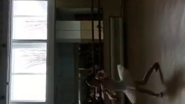 "Умирающая лебедь" смотреть онлайн