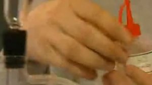 Получение углекислого газа и изучение его свойств