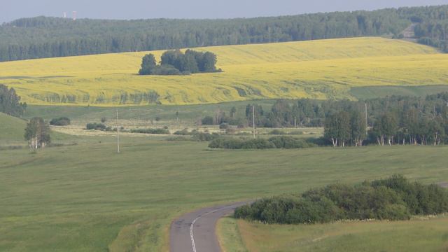 Футаж: дорога среди лугов и рапсовое поле смотреть онлайн