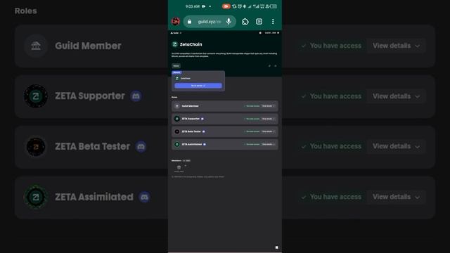 How to get Guild Role's on Discord смотреть онлайн