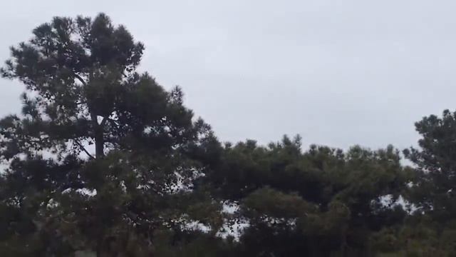 Трип в Геленджик смотреть онлайн