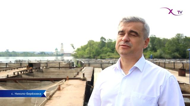 От икринки до взрослой рыбы смотреть онлайн