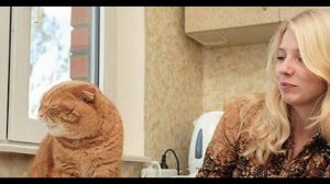 Стих  КОТЁНОК , Автор  @dominickrow Дмитрий Кравченко