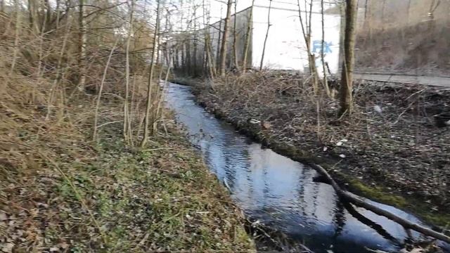 Подбор коряг для аквариума. Часть 1