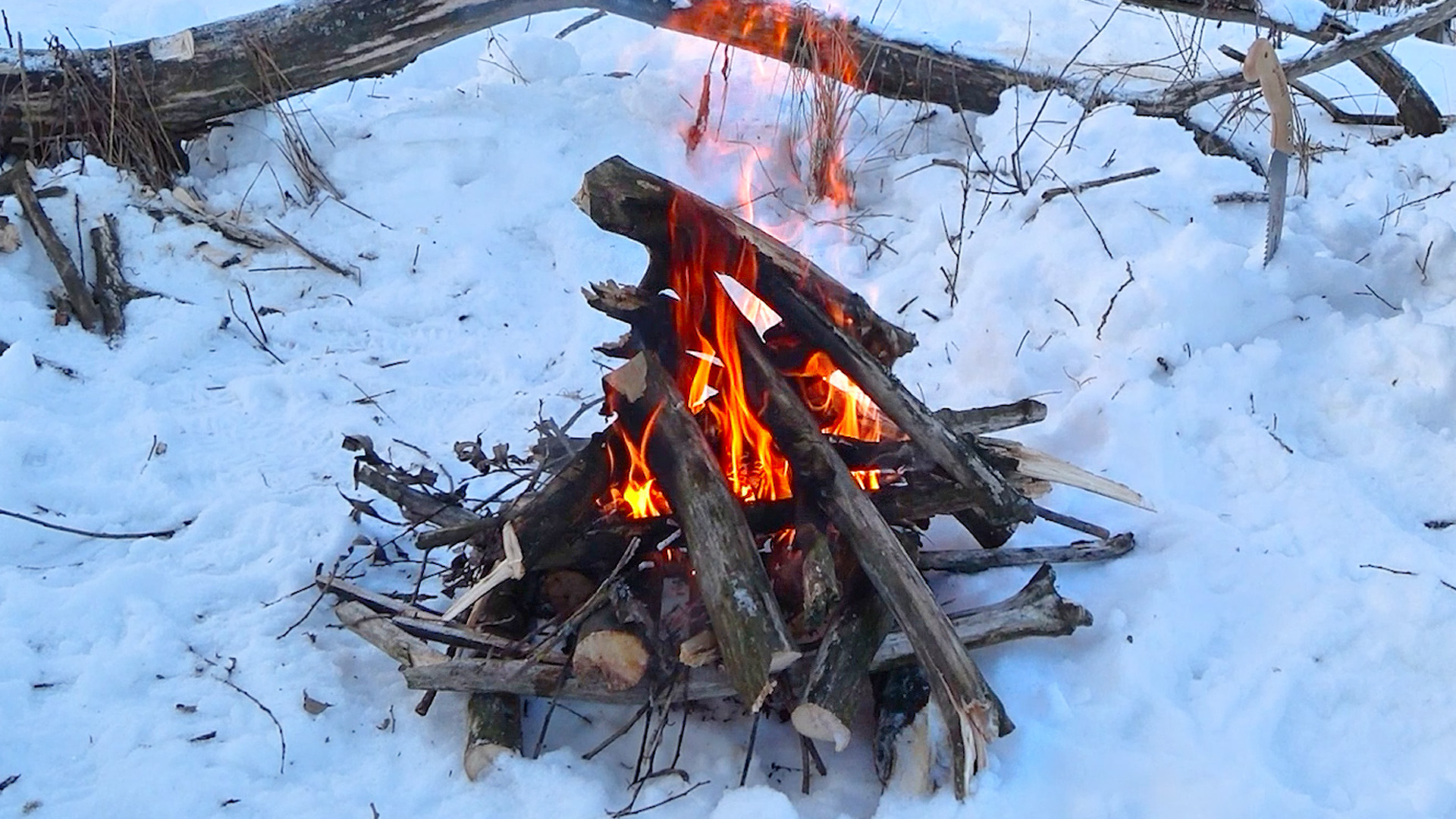 Как разжечь КОСТЕР ЗИМОЙ в лесу быстро и просто. Костер РЕШЕТКА # смотреть онлайн
