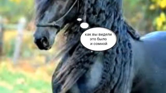 История коня 3 1 часть смотреть онлайн
