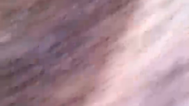 Беспривязный откорм черно пестрой породы на убой.Быки на убой после откорма. +79656176005 WhatsApp смотреть онлайн