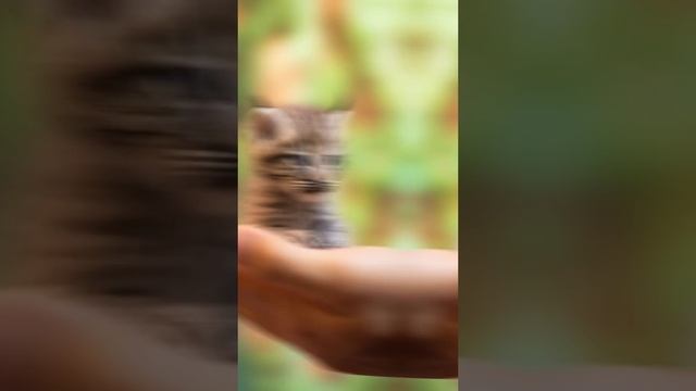 ПОДДЕРЖИТЕ НАШ КАНАЛ #юмор #камеди #прикол #фейл #фан #комедия #пранк #ржак #рекомендации