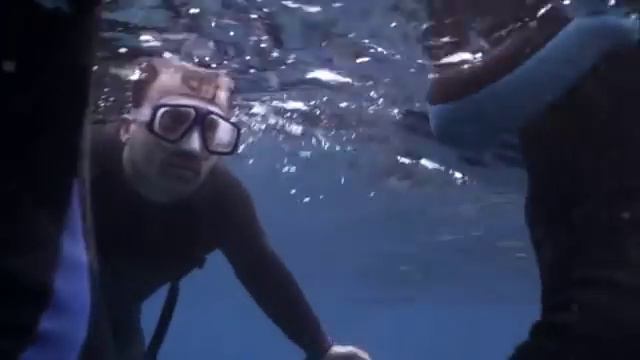 The Reef 2010 смотреть онлайн