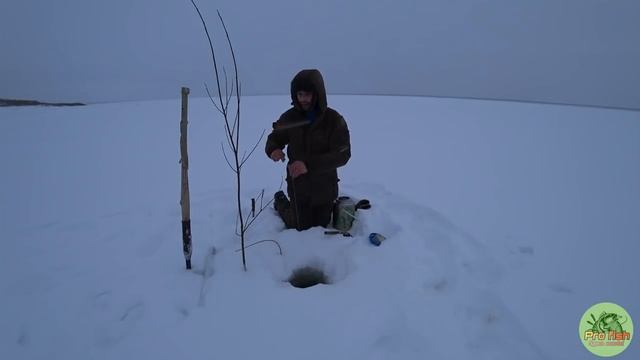 Налим, перемёт или донки вот в чём вопрос... смотреть онлайн