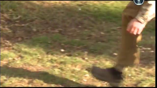 Рейтинг Баженова:Гриф секретно