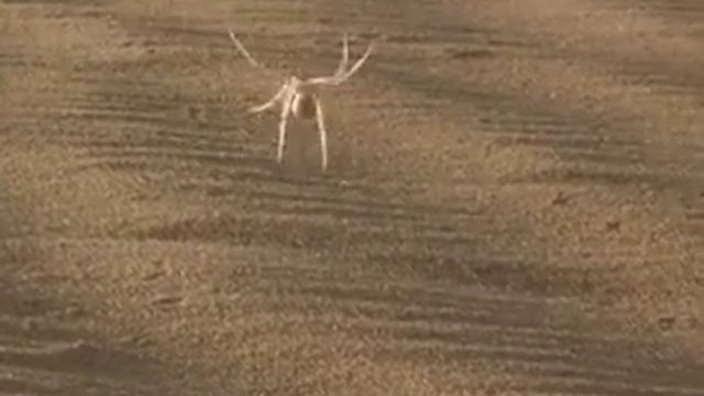 Это я когда тикаю с пар😂😂😂