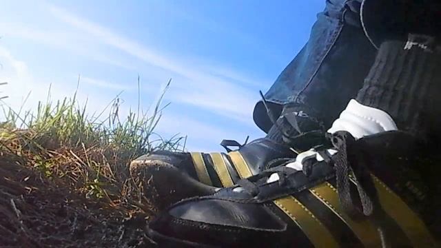 adidas samba nua stomp kiwis смотреть онлайн