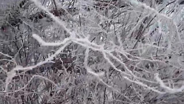 Резкие перепады температур вызвали образование инея в Молдове 20.января 2017 г. смотреть онлайн
