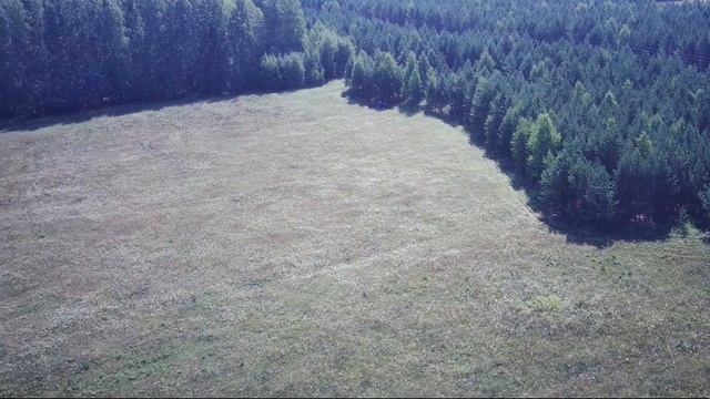 Последние ПОЛЯ под сенокос!