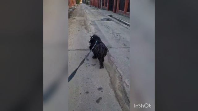 Каждый певец обязательно найдёт своего слушателя?