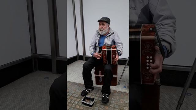 Billy McGuire accordion смотреть онлайн
