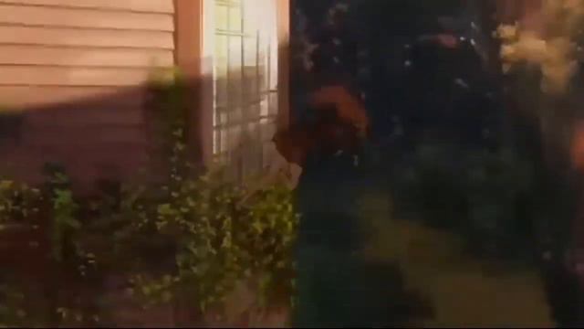 История настоящей любви | DARLING In The FRANXX