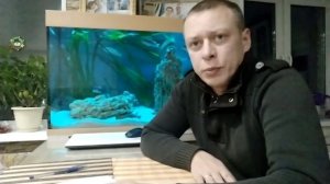 Живой корм для рыб плюсы и минусы