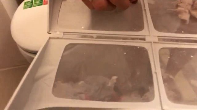 Сушильная машина Hotpoint Ariston. Первая Сушка смотреть онлайн