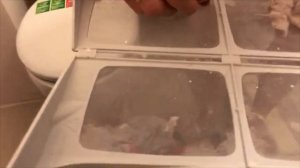 Сушильная машина Hotpoint Ariston. Первая Сушка