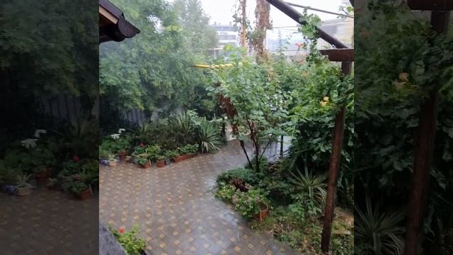 Виды дождя !!! Лето 2021 смотреть онлайн