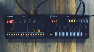 'Bass it' Roland Aira Compact: J-6 / T-8