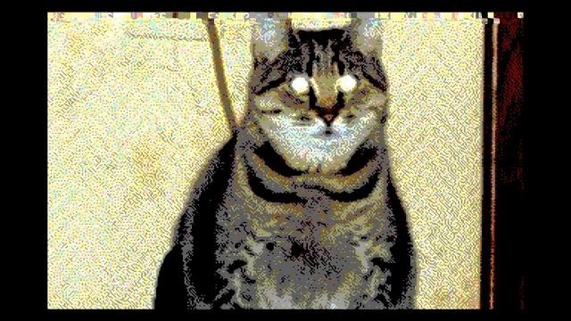 Cat Demo (ATM Turbo 2+) - Alone Coder [#ATM2 AY Music Demo] смотреть онлайн