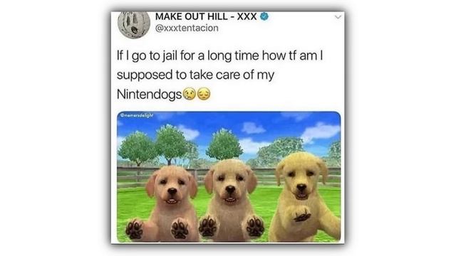 Nintendo Memes смотреть онлайн
