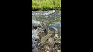 По золотым приискам Новосибирской области