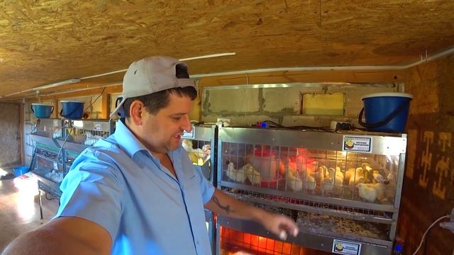 ВЫБРАЛ СВОЙ ГРАФИК ВЕС ИНДЮКА В 5 МЕСЯЦЕВ смотреть онлайн