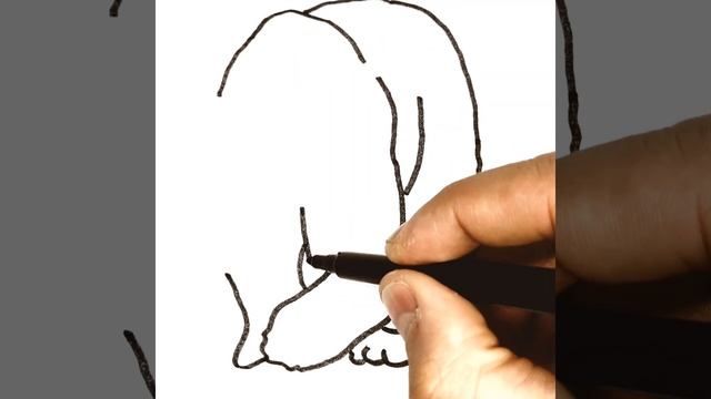 #shorts How to draw a polar bear. Drawing of a polar bear | Как нарисовать белого медведя смотреть онлайн