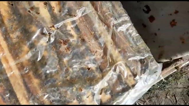 Подготовка зимовалых отводков к продаже смотреть онлайн