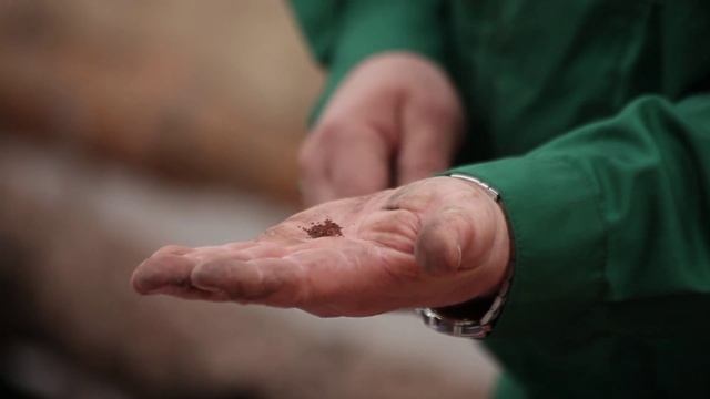 Цикл передач: Сажаем рассаду. Передача 4: Правильно сажаем семена петунии смотреть онлайн