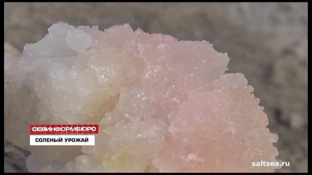 Крымская морская розовая соль Saltsea.ru