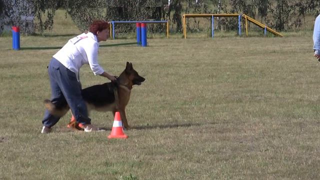 Клеошлосс Герцогиня.VA3.Best TSB .Главная выставка НКП РСЛНО "Московия 2014" смотреть онлайн