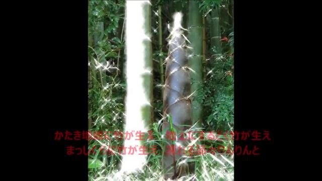 「竹」萩原朔太郎 смотреть онлайн