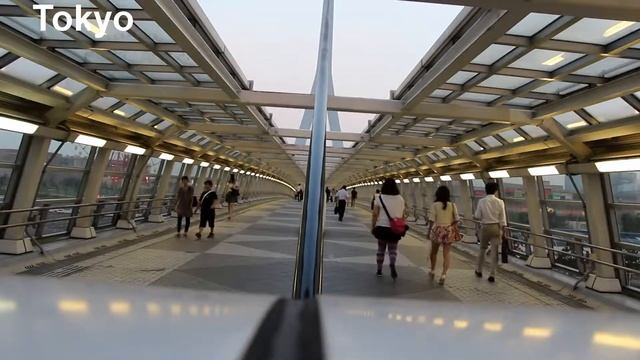 Азия Город  Токио | Город Токио | City Of Tokyo