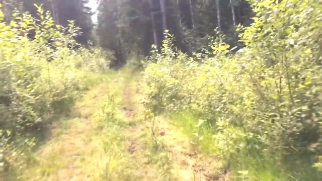 КАК ПРИМАНИТЬ КАБАНА - мой опыт / #ОХОТА НА КАБАНА смотреть онлайн