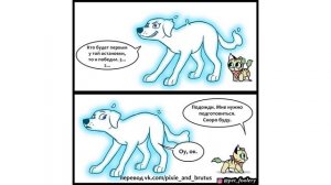 Пикси и Брут "ХЭЛЛОУИН". Трогательная история дружбы военного Пса и Котенка! Комиксы от ХаХмачо