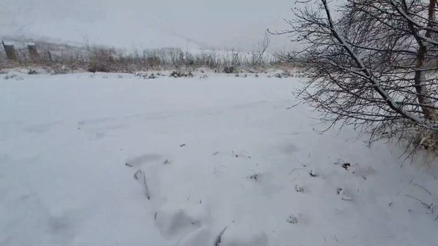 Снегопад в горах продолжается...Вечереет... смотреть онлайн