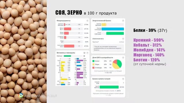 Запасы продуктов длительного хранения. Дмитрий Лео. Академия Здоровья. смотреть онлайн