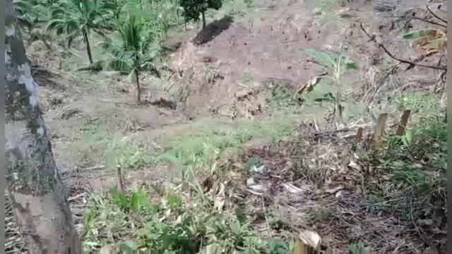 Филиппины - отдых рабочих… новости по ферме…