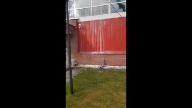 ФОК "Звезда" г. Павлово Нижегородская область смотреть онлайн