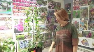 ПОЛЕЗНАЯ ЗЕМЛЯ.