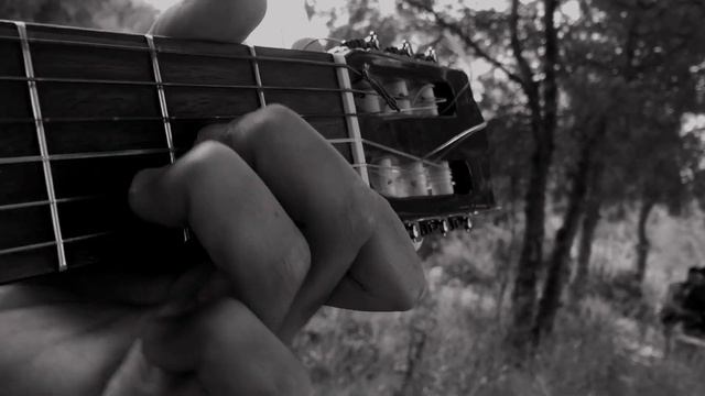 BEETHOVEN - MOONLIGHT SONATA ( GUITAR ) смотреть онлайн